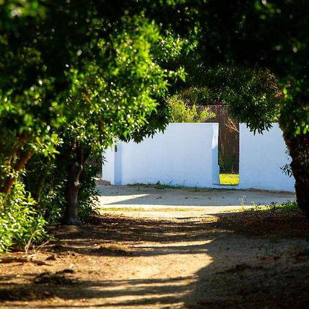 Casara Tres - 2 Dormitorios - Jardin Y Acceso Privado A La Playa Zahora Exterior photo